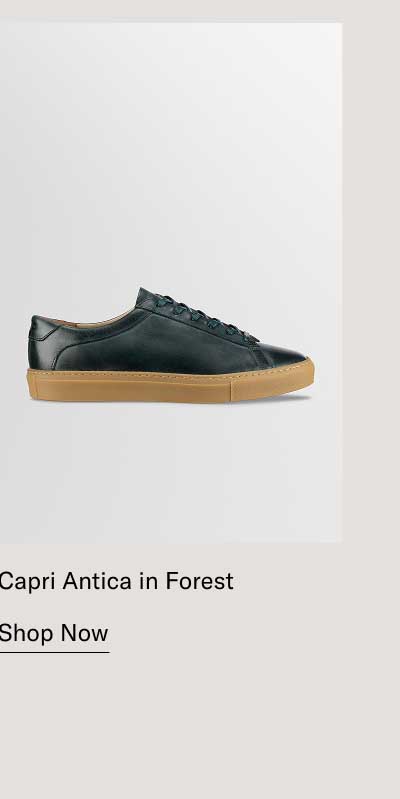 Capri Antica in Forest   [Shop Now]