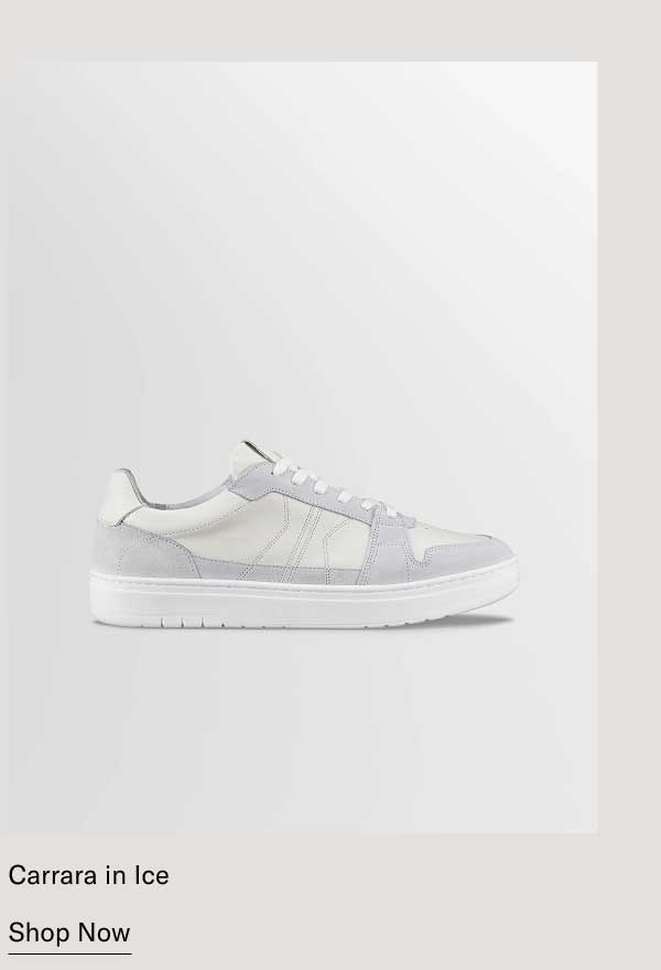 Carrara in Ice   [Shop Now]