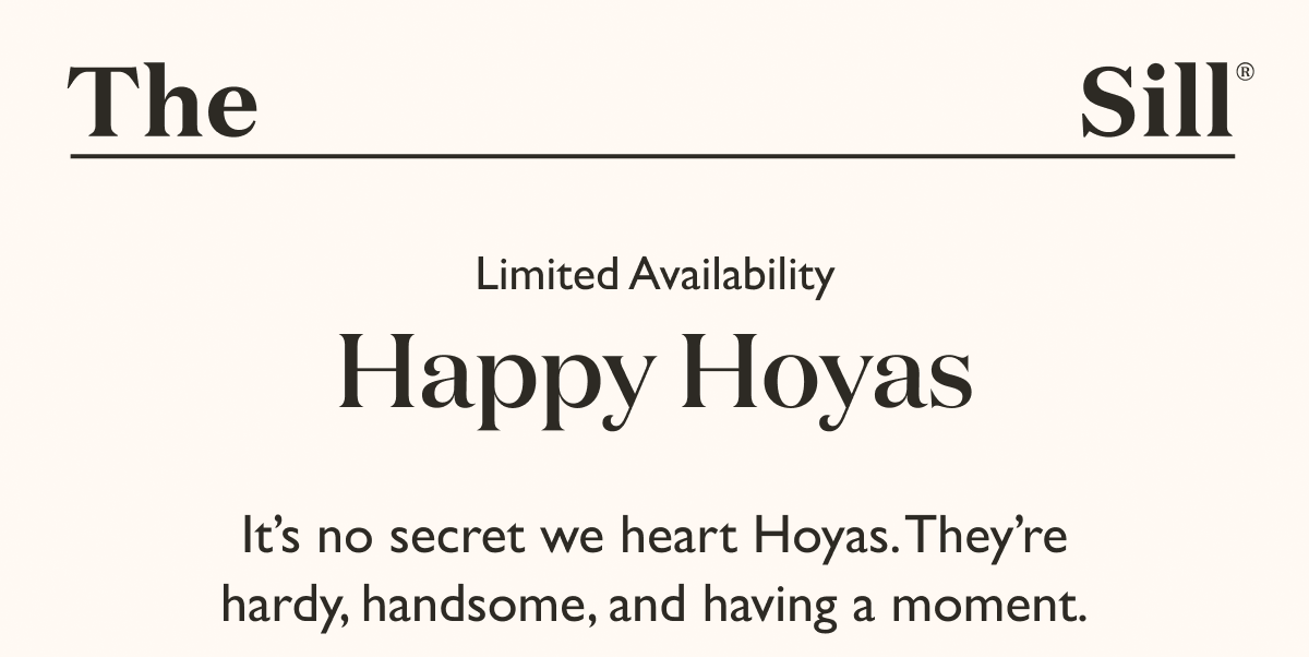 It's no secret we heart Hoyas. They're hardy, handsome, and having a moment.