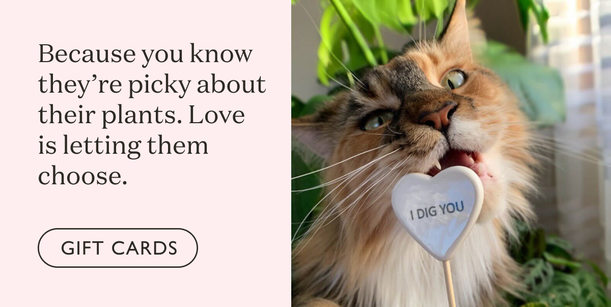 Because you know they’re picky about their plants. Love is letting them choose. Shop Digital Gift Cards.