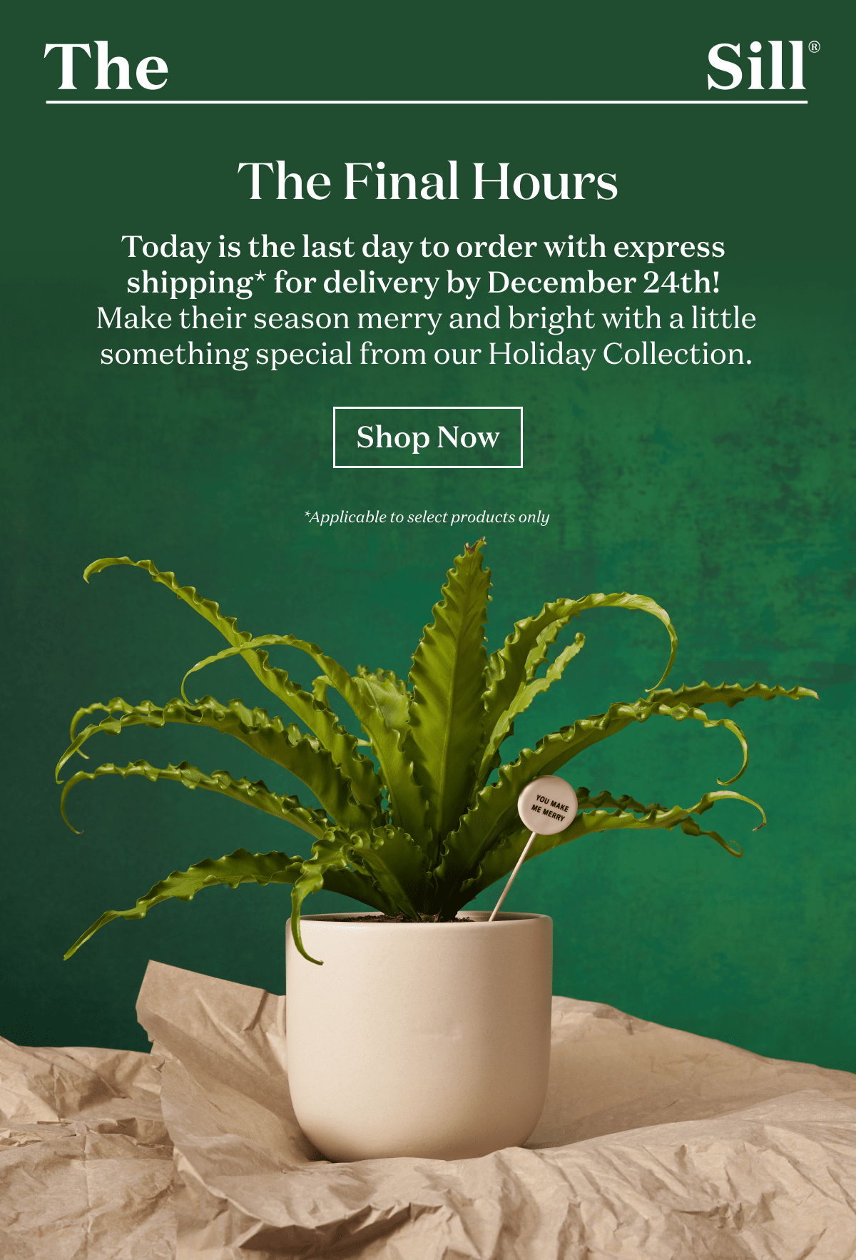 The Final Hours. Today is the last day to order with express shipping* for delivery by December 24th! Mak their season merry and bright with a little something special from our Holiday Collection.