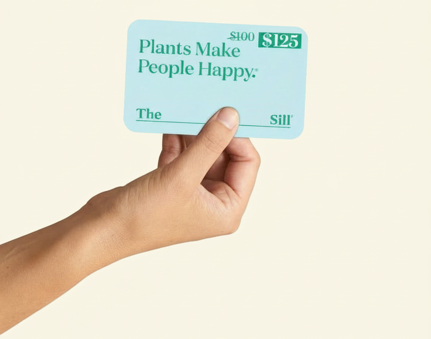 Hand holding a $100 gift card.