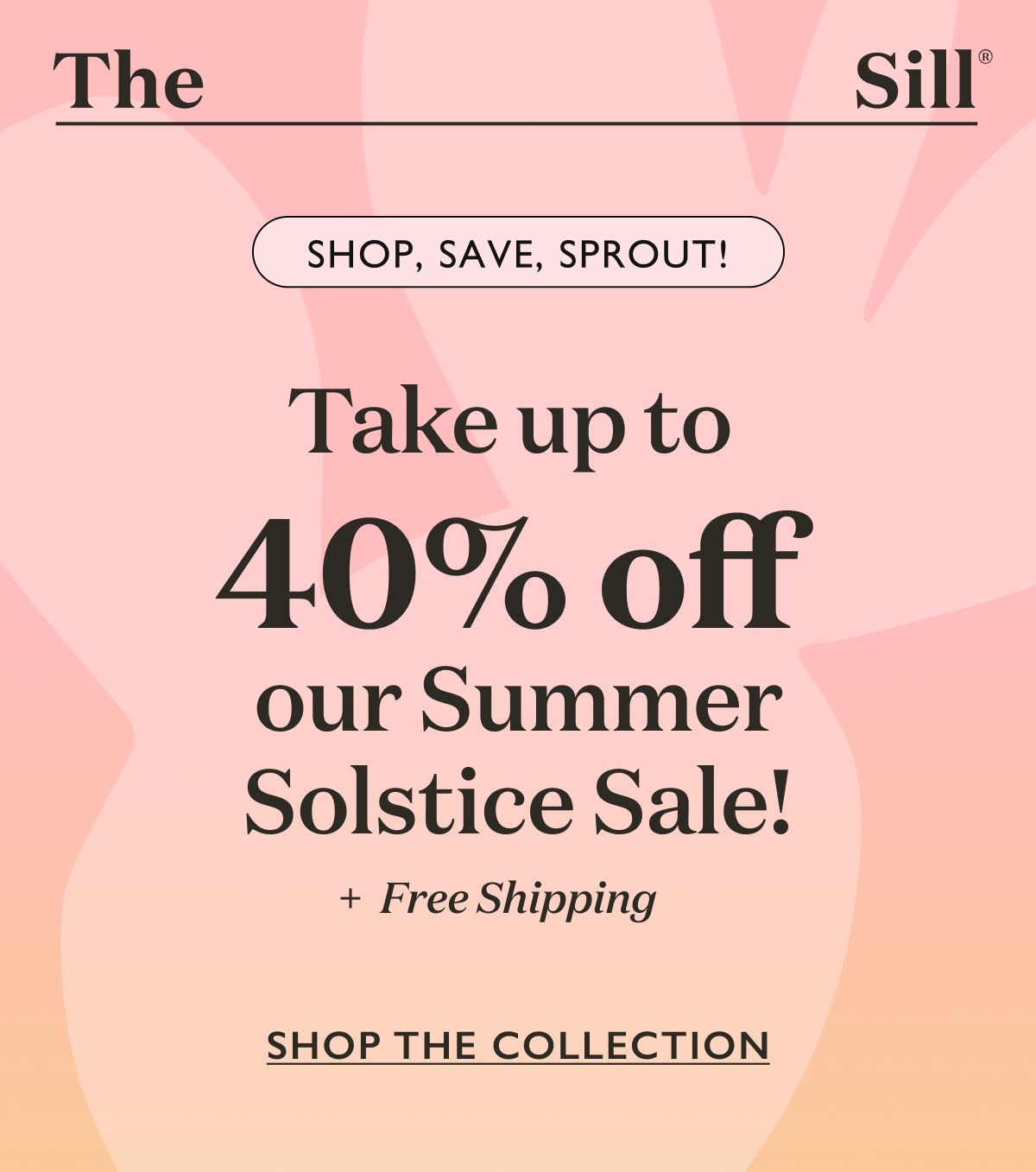 Celebrate the longest day of the year with big savings on seasonal top sellers and year-round favorites. Whether you are starting your green journey or a plant expert, our Summer Solstice Sale has a unique plant to add to your collection.   Enhance your living space. Shop our sale now!