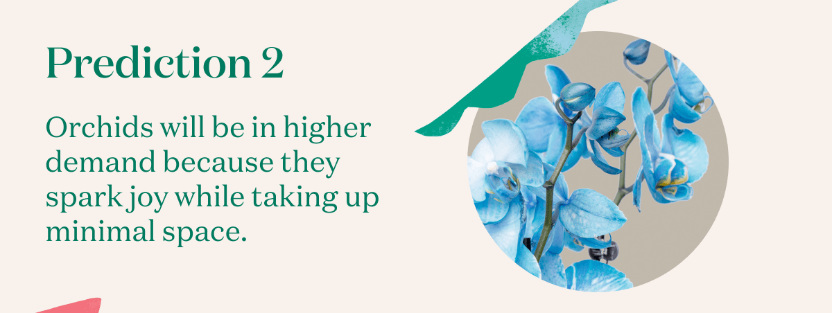 Orchids will be in higher demand because they spark joy while taking up minimal space.