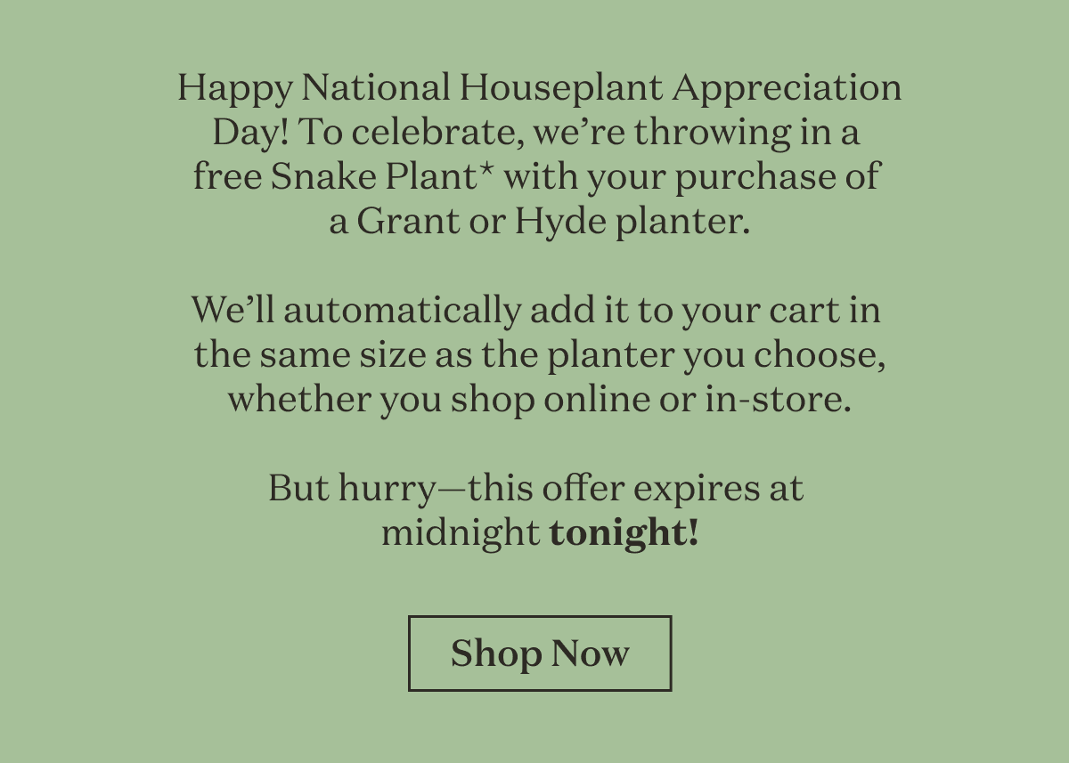 Happy National Houseplant Appreciation Day! To celebrate, we're throwing in a free Snake Plant* with your purchase of a Grant or Hyde planter. We'll automatically add it to your cart in the same size as the planter your choose, whether you shop online or in-store. But hurry -- this offer expires at midnight tonight!