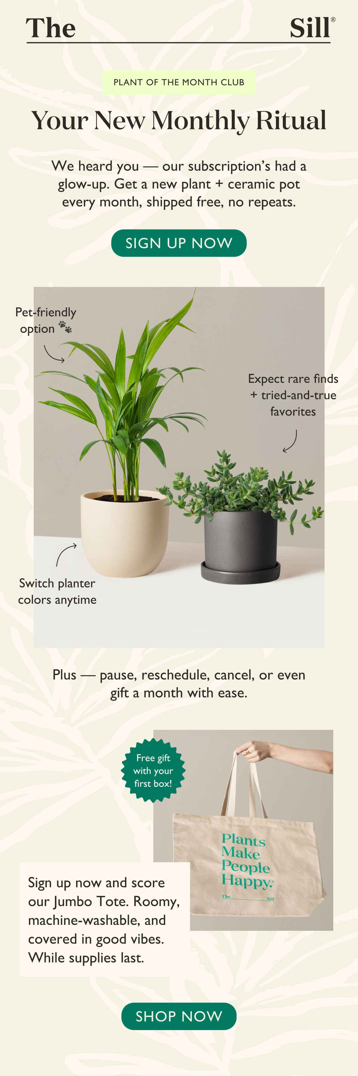 Join the Plant of the Month Club. Get new plants, big perks, and a free gift with your first box. Pictured: Parlor Palm, Pickle Plant
