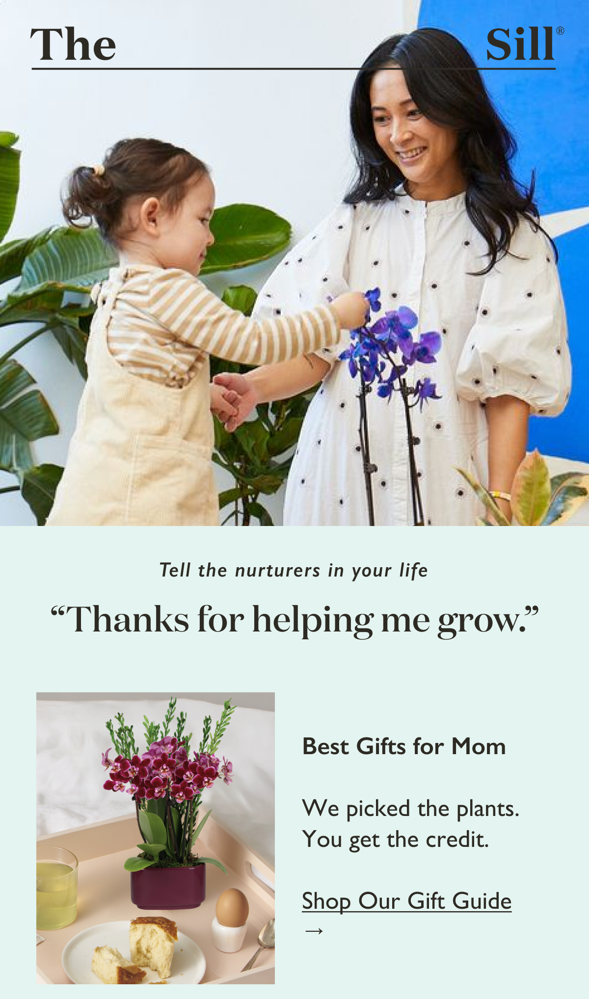 Best Gifts for Mom, Meet the Gift Guide