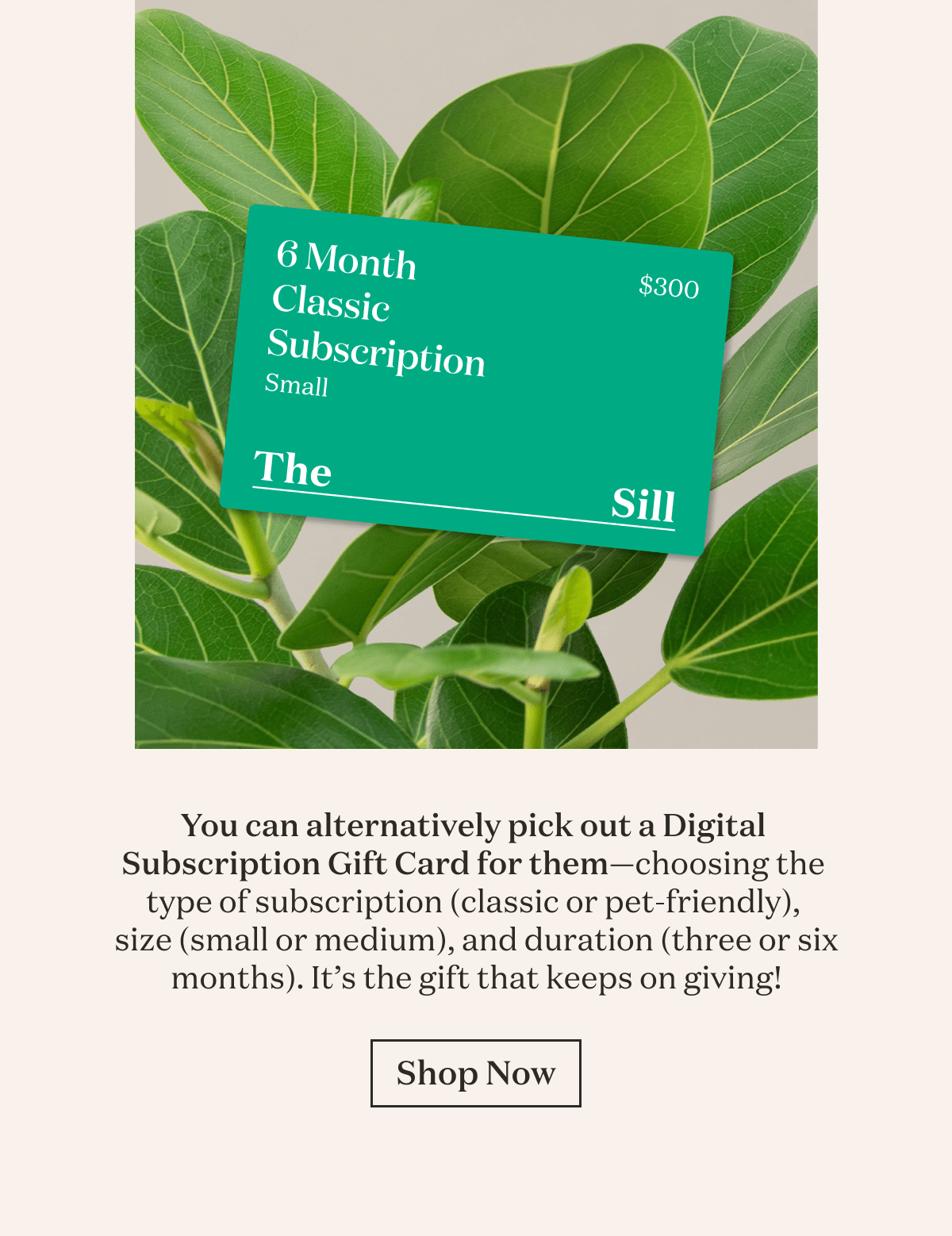 You can alternatively pick out a Digital  Subscription Gift Card for them—choosing the  type of subscription (classic or pet-friendly),  size (small or medium), and duration (three or six months). It’s the gift that keeps on giving! 