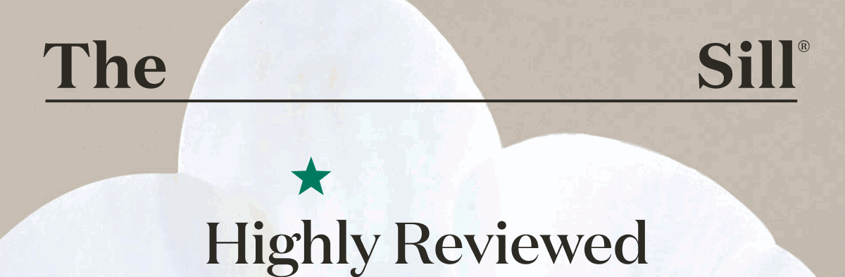 Five-star views only: Large Double Orchid. Our #1 plant to gift. 