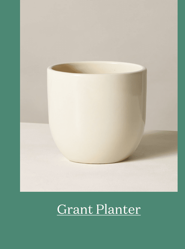 Grant Planter
