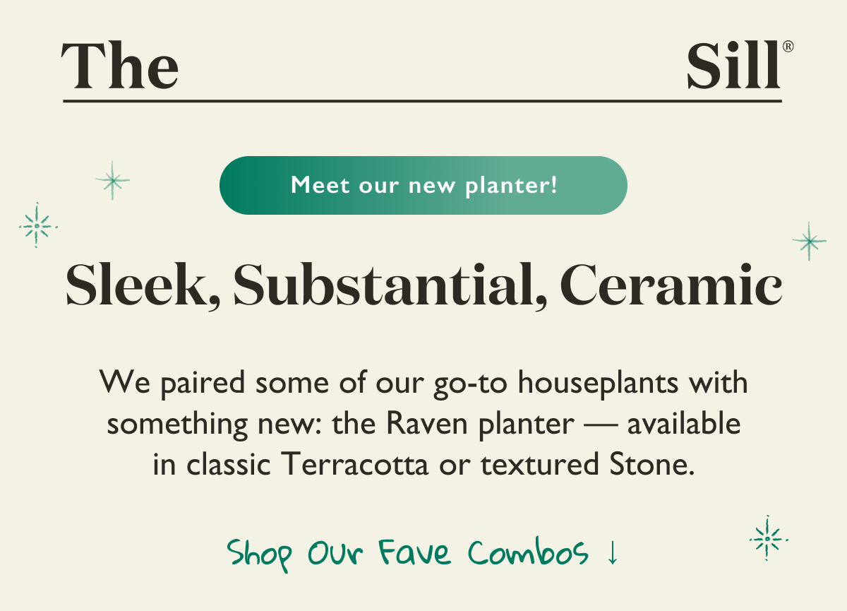 Meet our new planter! We paired some of our go-to houseplants with something new: the Raven planter, available in classic Terracotta or textured Stone. Shop now. 