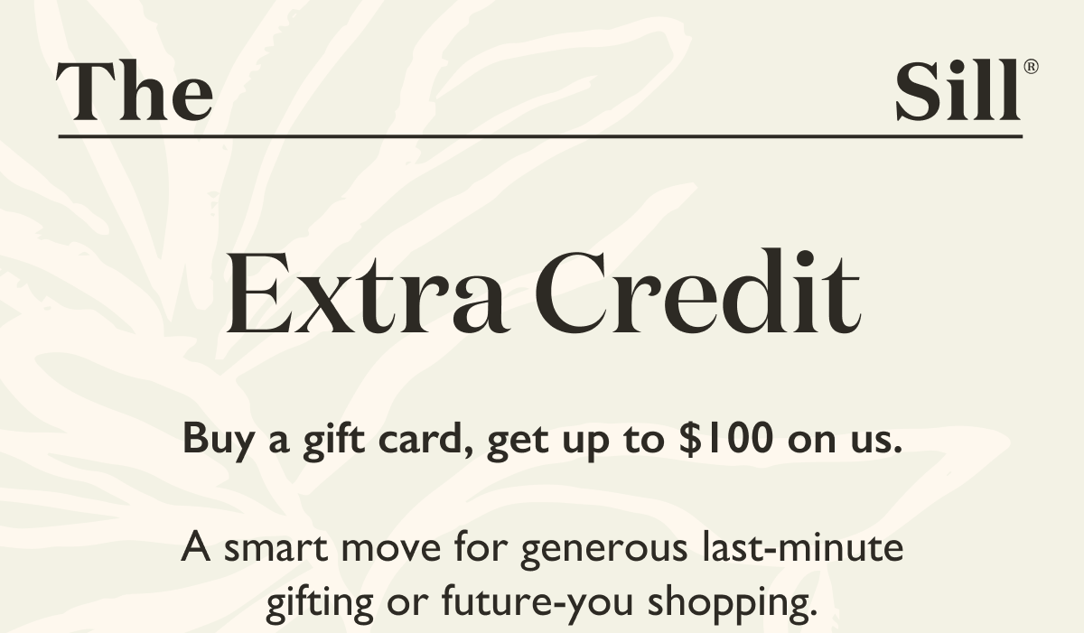 Buy a gift card, get up to $100 on us. A smart move for generous last-minute gifting or future-you shopping.