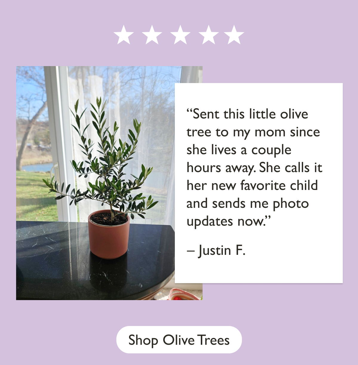 “Sent this little olive tree to my mom since she lives a couple hours away. She calls it her new favorite child and sends me photo updates now.”