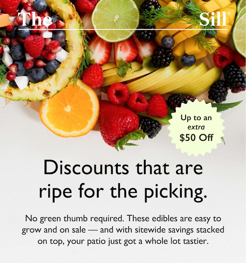 These edibles are easy to grow and on sale — and with sitewide savings stacked on top, your patio just got a whole lot tastier.