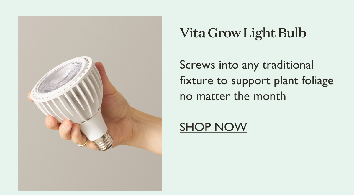 Vita Grow Light Bulb: Screws into any traditional fixture to support plant foliage no matter the month