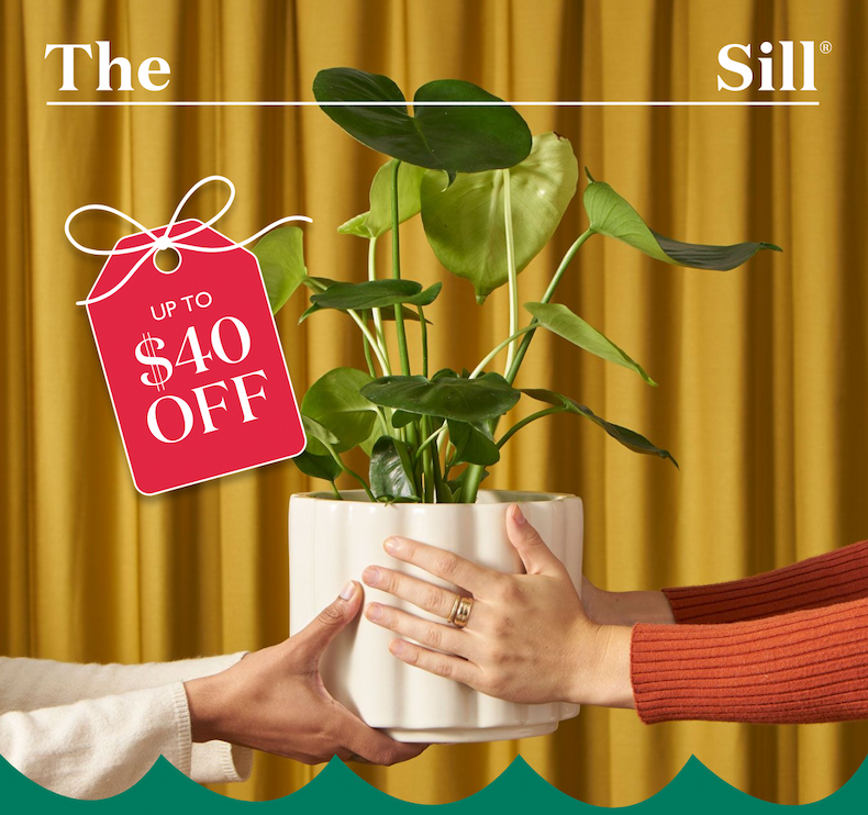 Up to $40 Off Plants