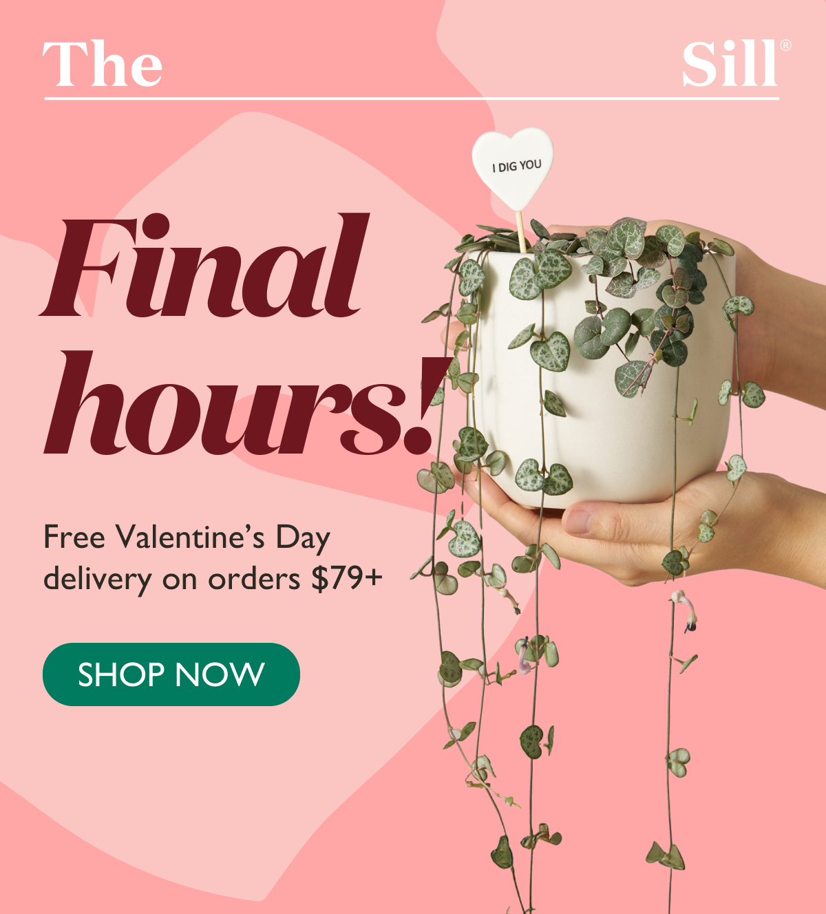 Final hours! Shop now for free Valentine's Day delivery on orders $79+.