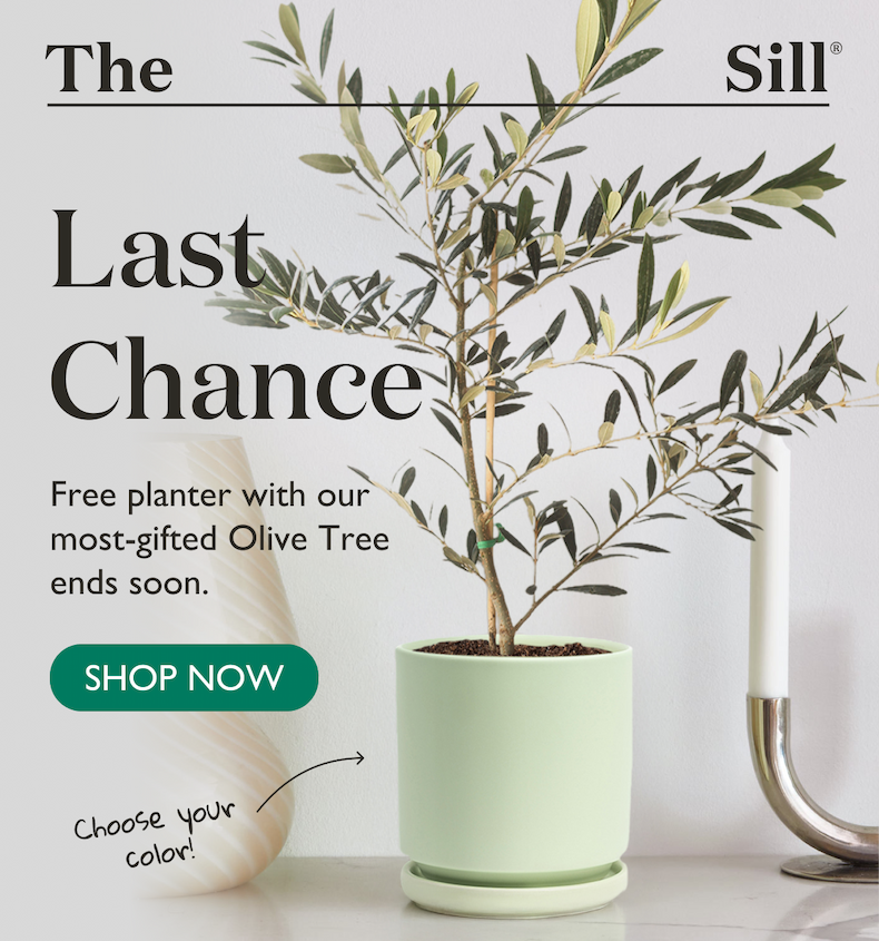 Claim Your Free Planter