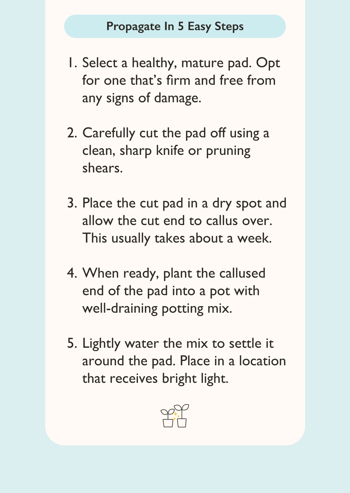 5 Steps to Propagate Prickly Pear Cactus