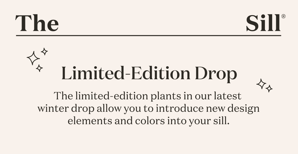 The limited-edition plants in our latest winter drop allow you to introduce new design elements and colors into your sill.