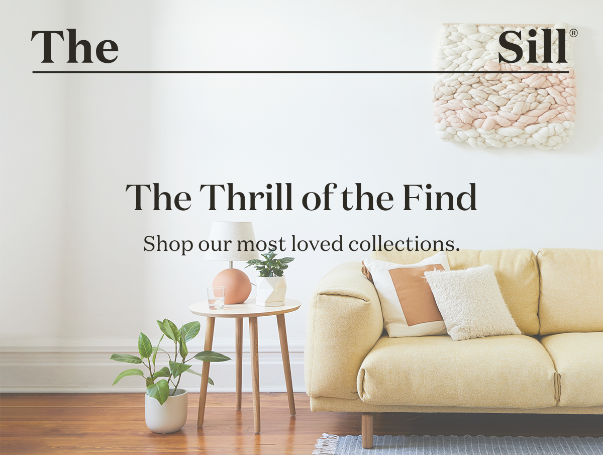 The Thrill of the Find