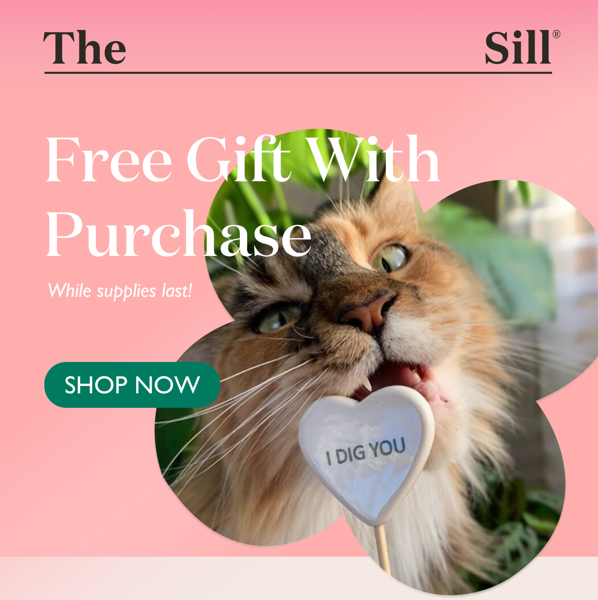 Free Gift With Purchase