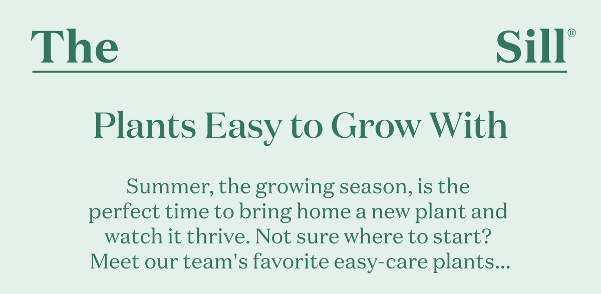 Plants Easy to Grow With
