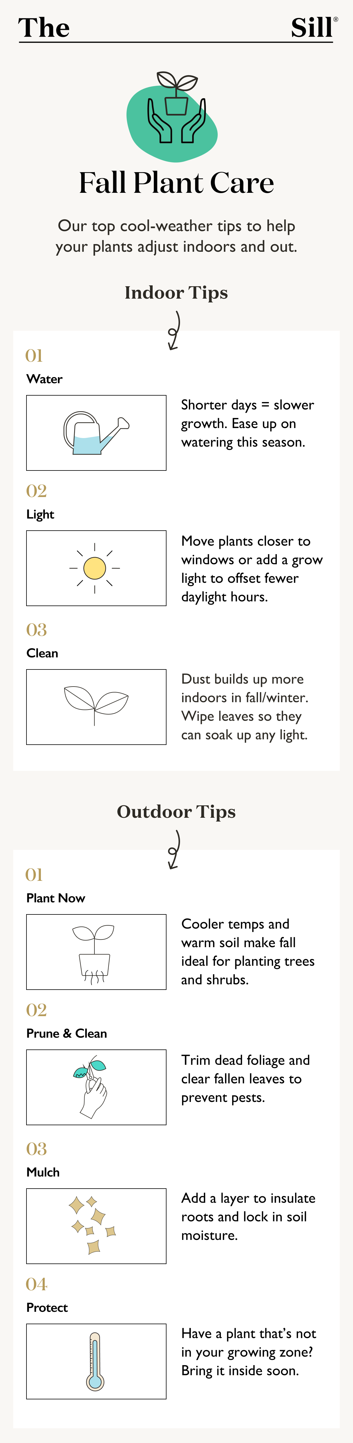 Pictured: Fall Plant Care Tips for Indoor and Outdoor Plants