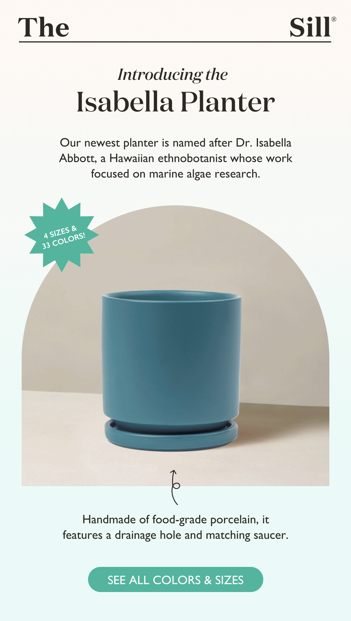 Introducing the  Isabella Planter!  Click to read more