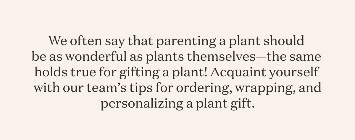 We often say that parenting a plant should be as wonderful as plants themselves—the same holds true for gifting a plant! Acquaint yourself with our team’s tips for ordering, wrapping, and personalizing a plant gift.