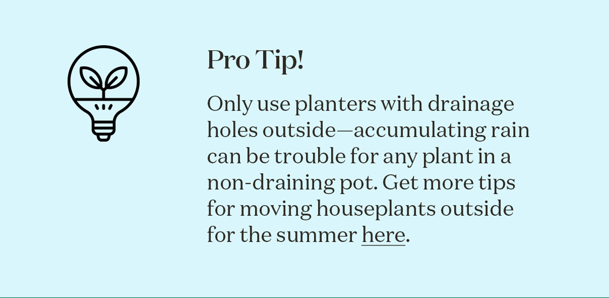 Pro Tip!