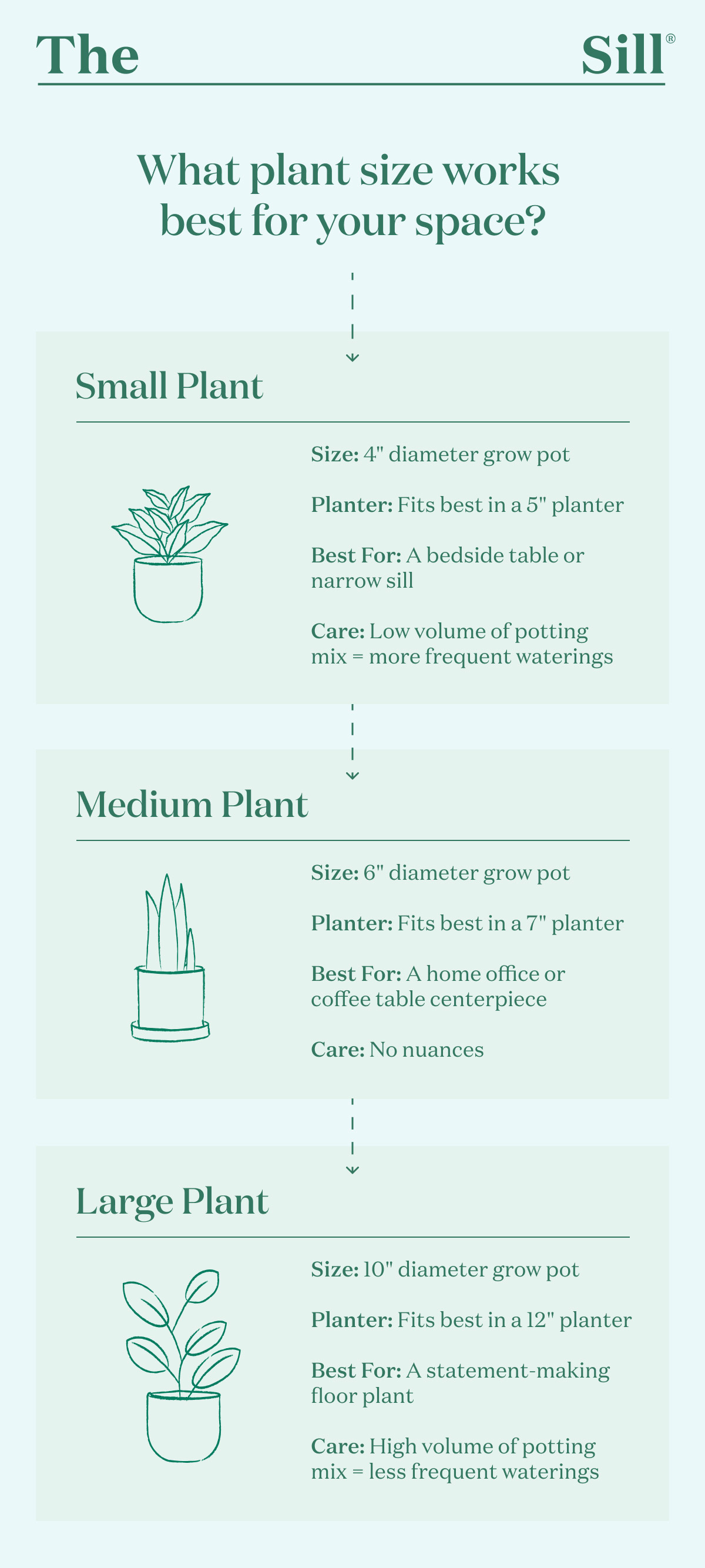 What plant size works best for your space?