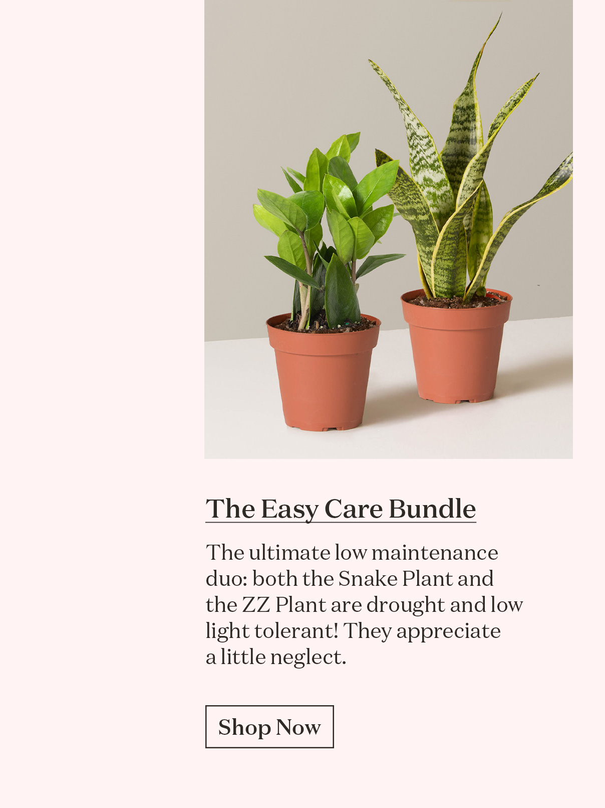 The Easy Care Bundle