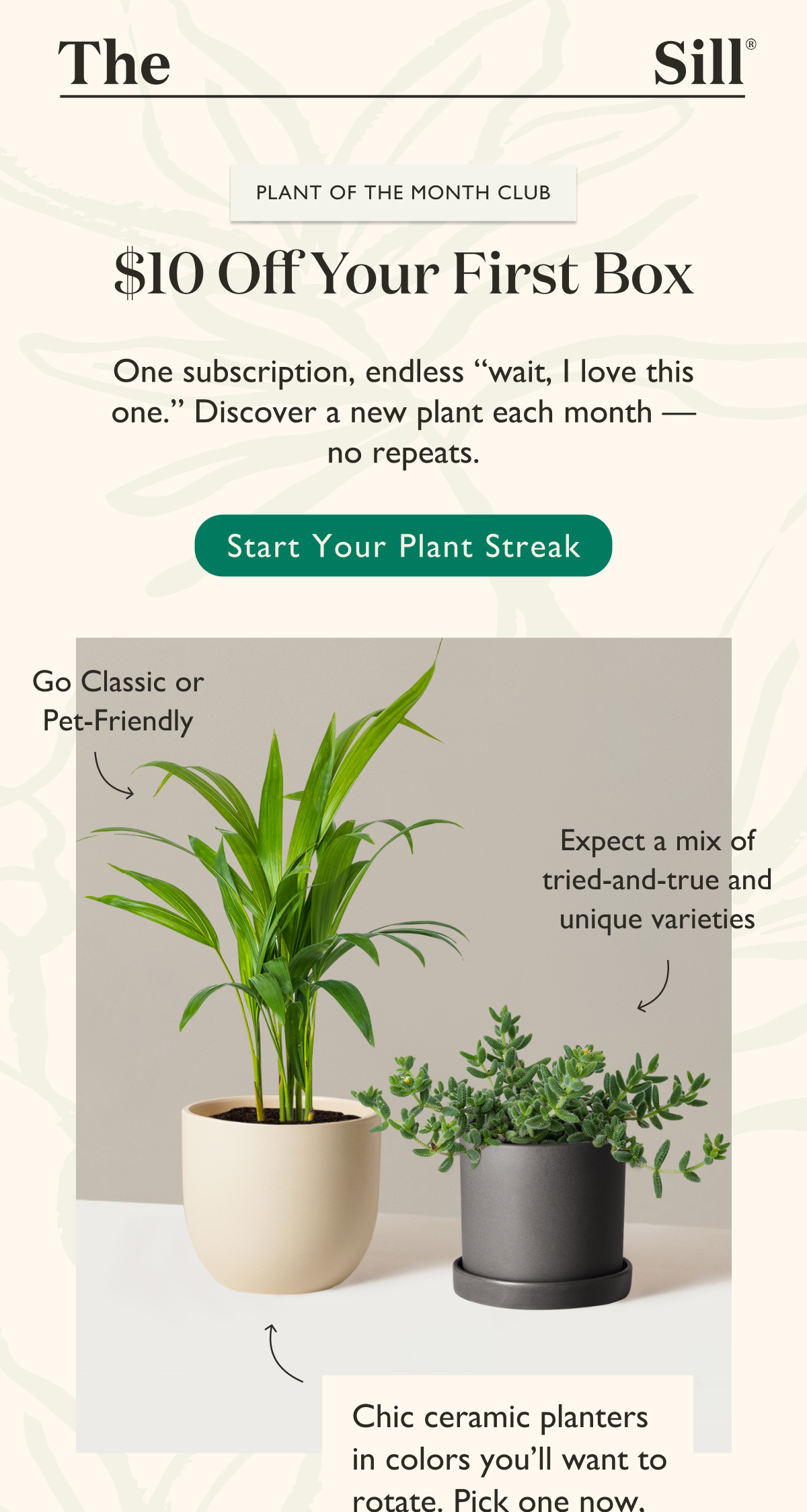 Get $10 off your first box. Use code NEWLEAF10. A new plant each mont, no repeats.
