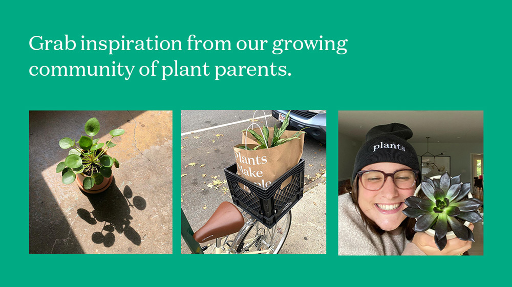 Grab inspiration from our growing community of plant parents.