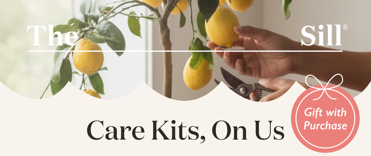 Free Plant Care Kits, on us. For a limited time.
