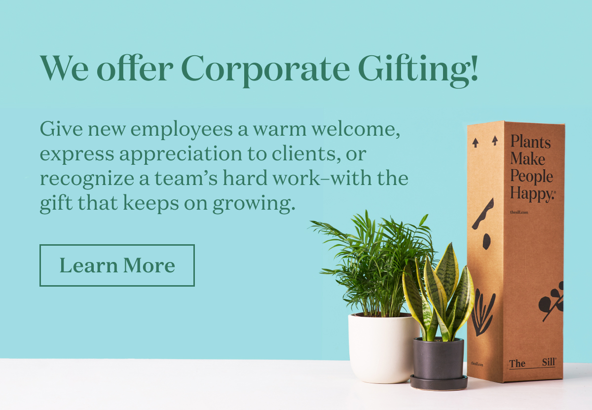 We offer Corporate Gifting! 
