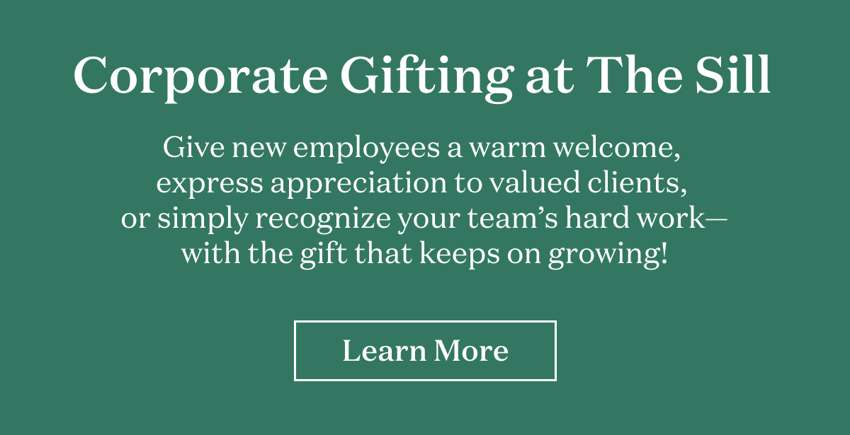 Corporate Gifting at The Sill