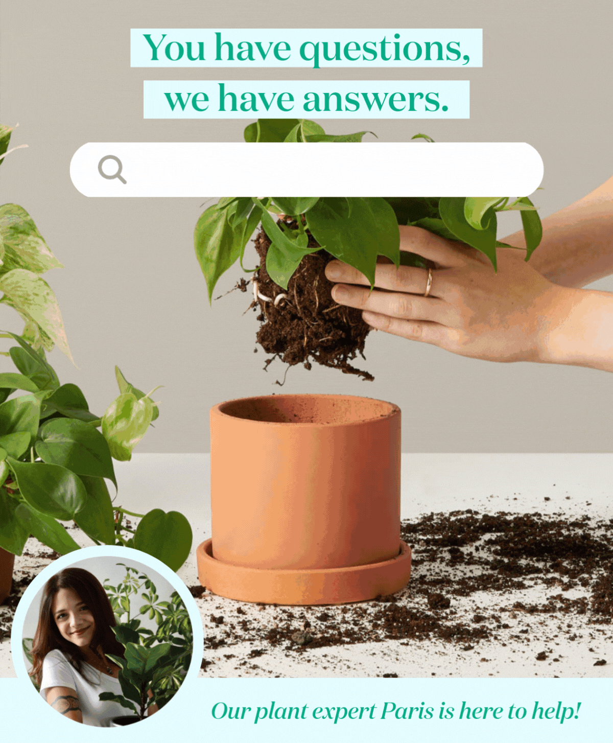 You have plant care questions, we have answers.