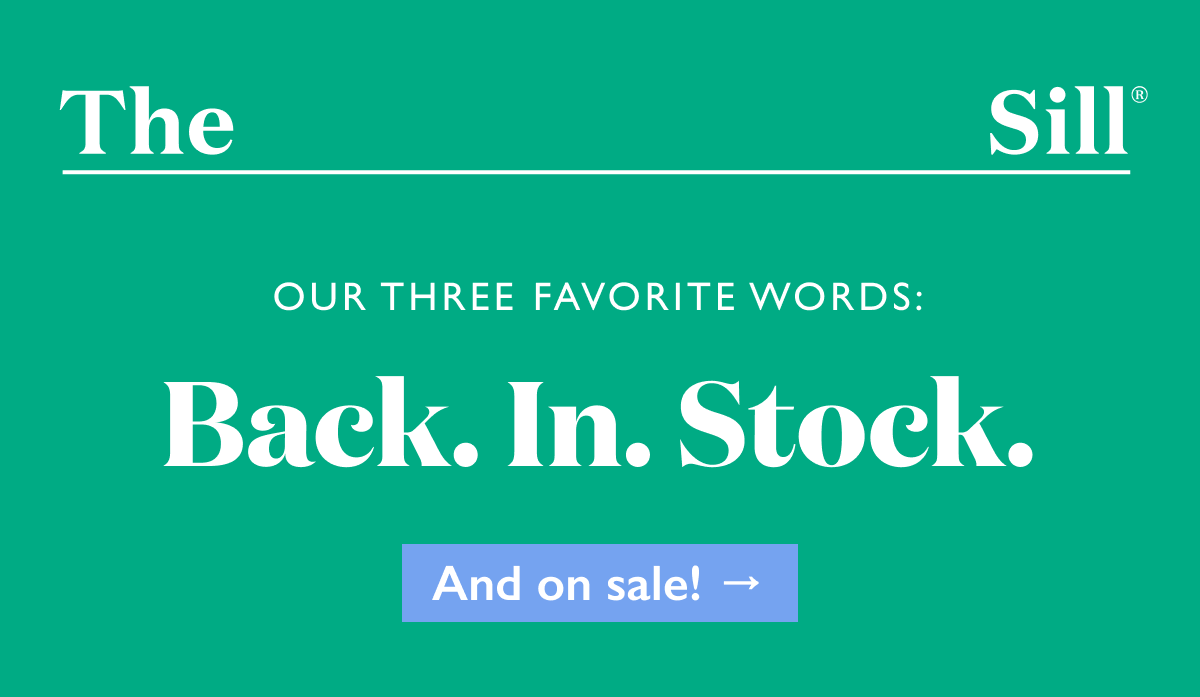 Our favorite words: Back in stock. And on sale. 