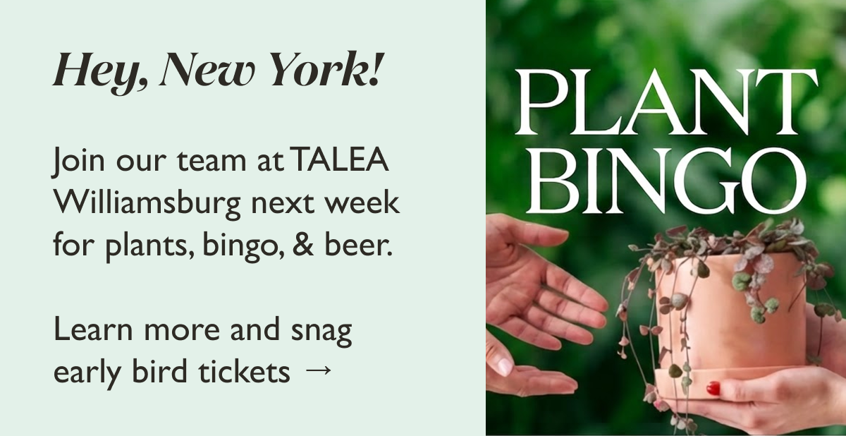 Plant Bingo with The Sill at TALEA Williamsburg