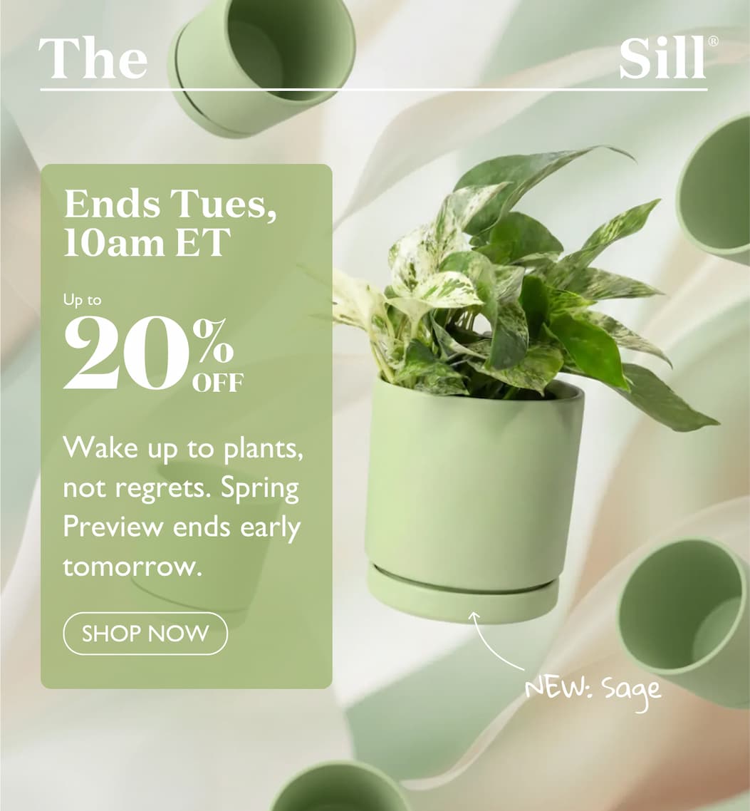 Your extra 10% off is extended through today. Spring isn't here yet, but it's on its way. Promise. Use code WEEKEND10 at checkout. 