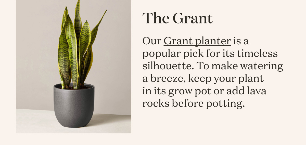 The Grant