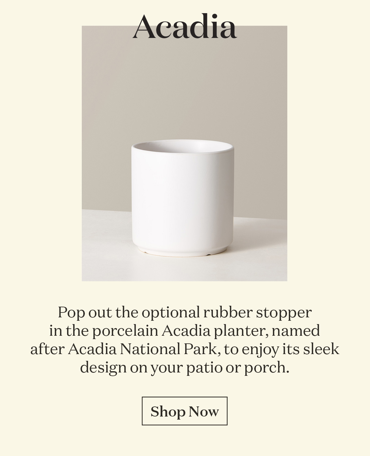 Acadia Planter