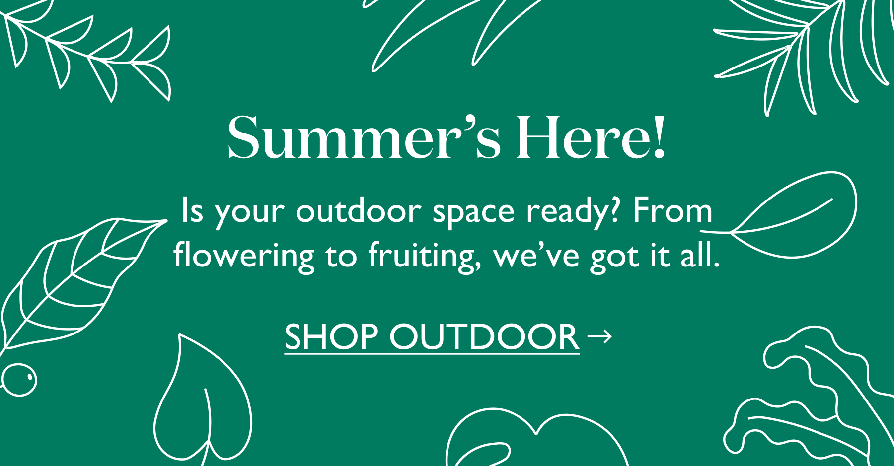 Spring's around the corner - is your outdoor space ready? We've got everything you need, sorted by growing zones. 
