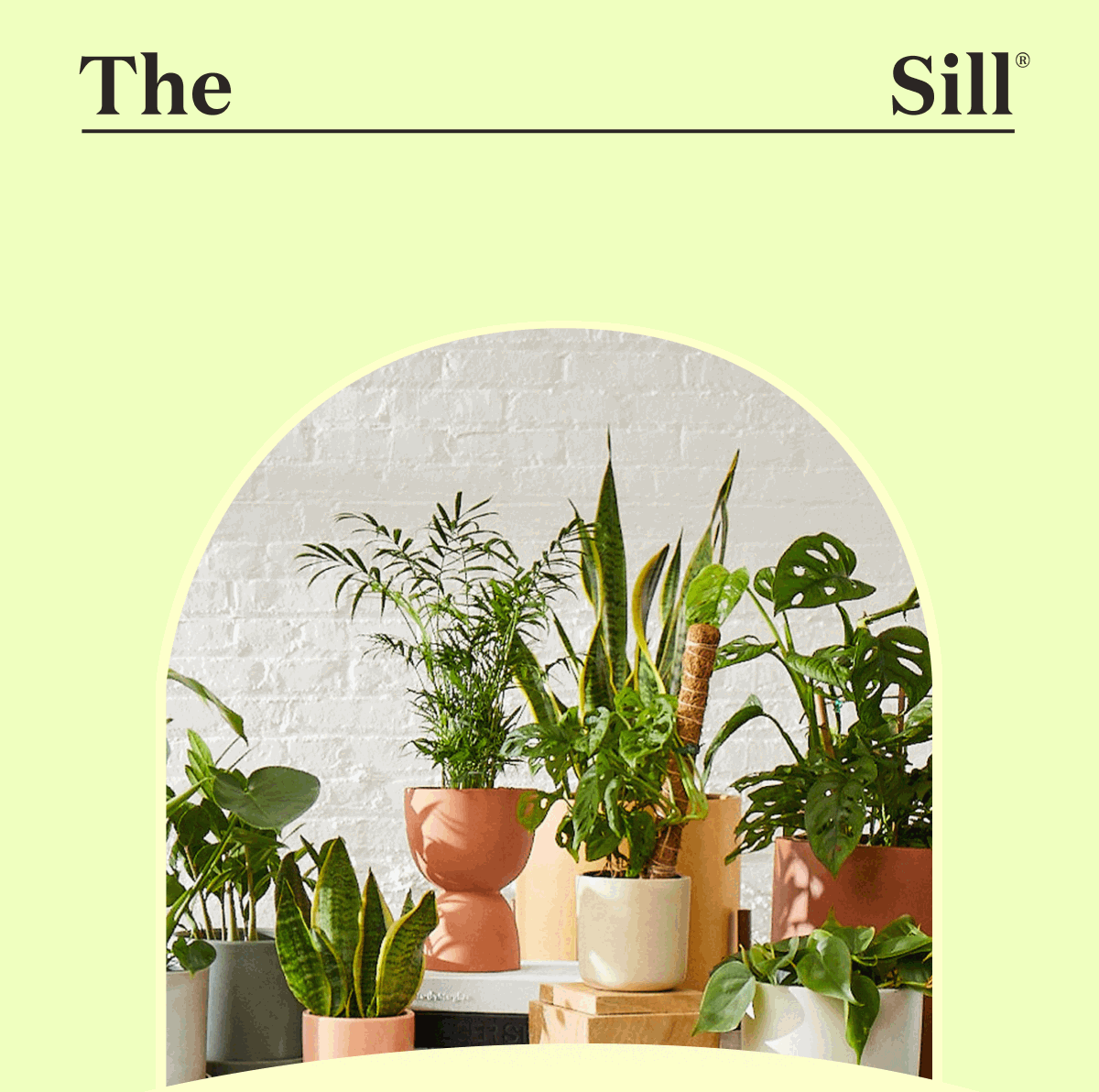 Shop the Summer Solstice Sale