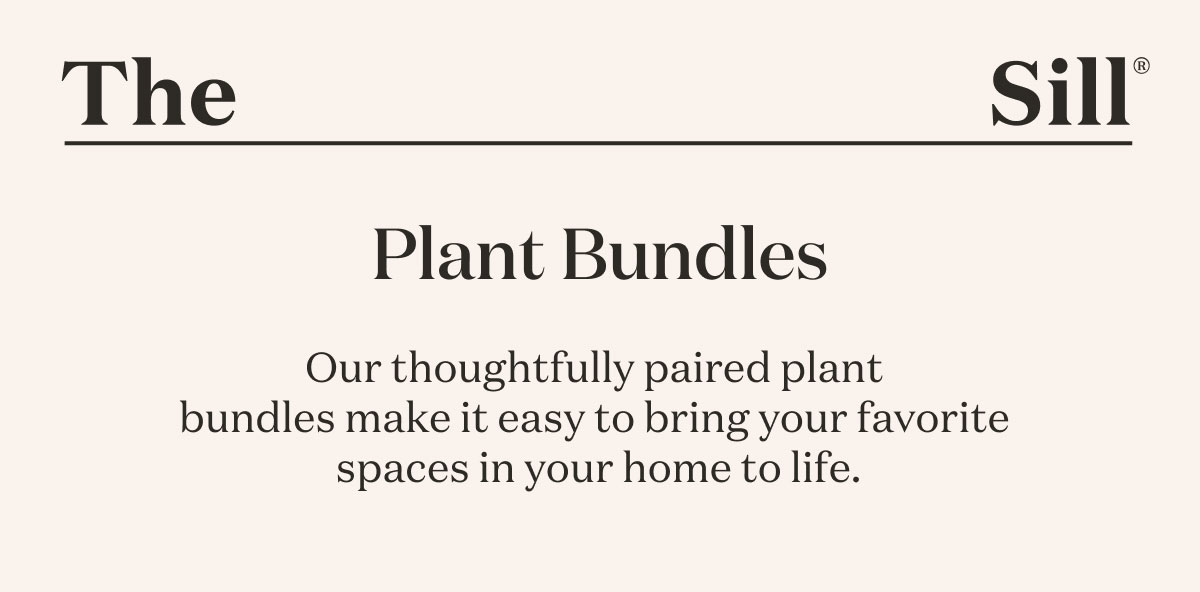 Plant Bundles: Our thoughtfully paired plant bundles make it easy to bring your favorite spaces in your home to life. 