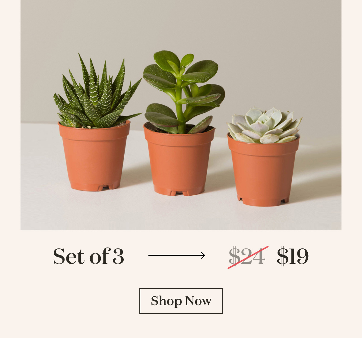 Set of 3