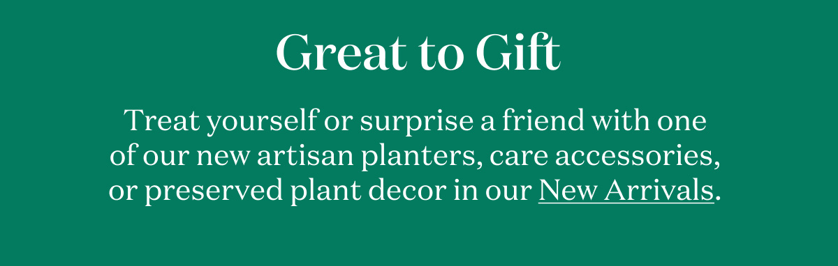 Great to Gift. Treat yourself or surprise a friend who one of our new artisan planters, care accessories, or preserved plant decor in our New Arrivals. 