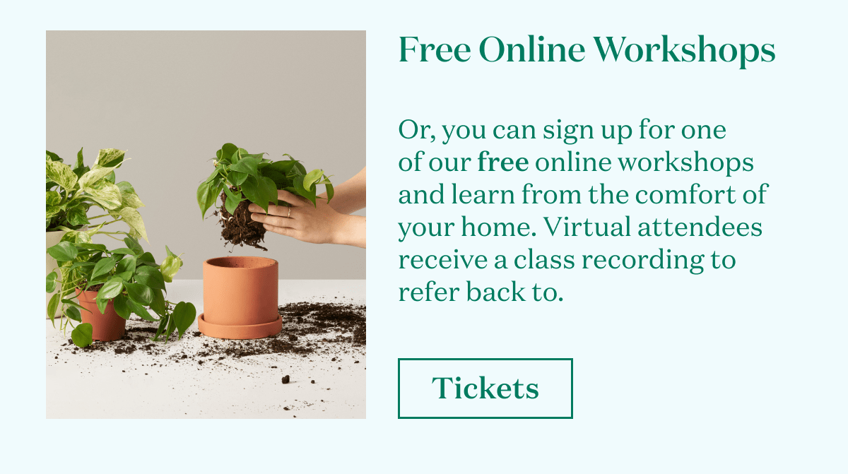 Or, you can sign up for one  of our free online workshops and learn from the comfort of your home. Virtual attendees receive a class recording to refer back to. 